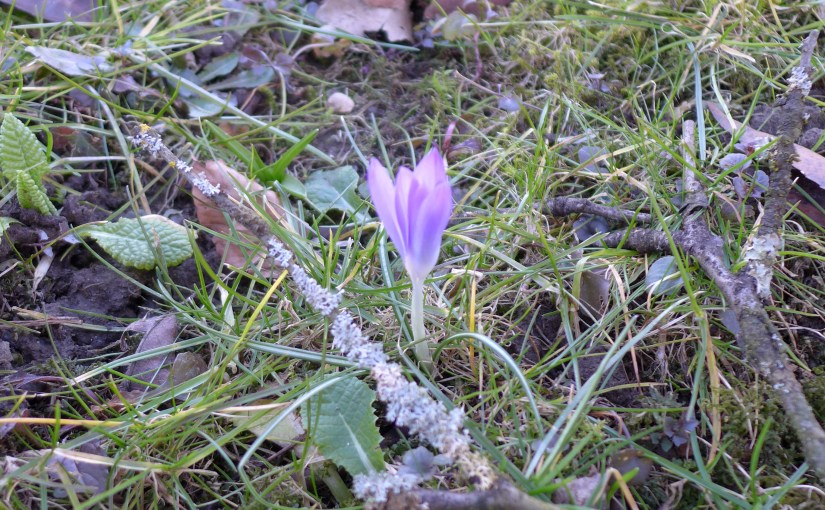 Fast schon Frühling