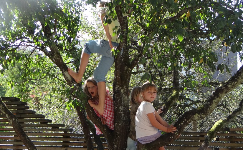 Impressionen Sommerbühne