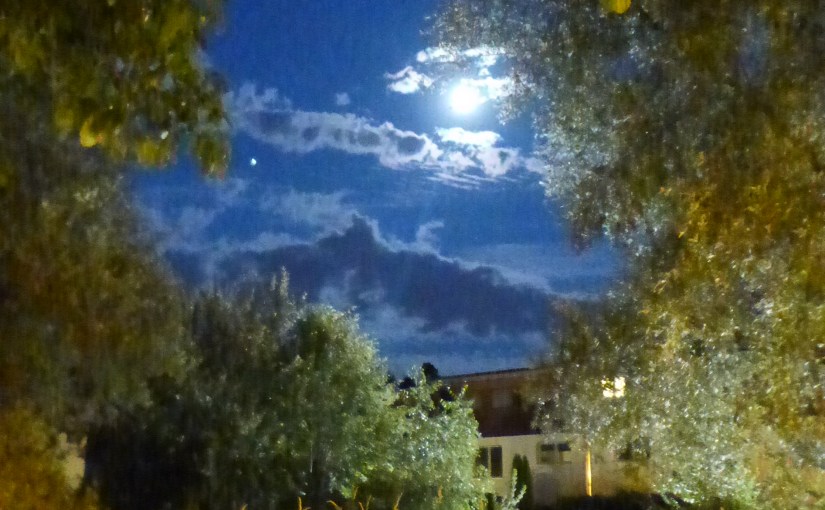 Sommer auf der&nbsp;Geigenbühne